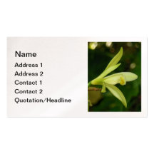 Vanilla Orchid Business Cards
