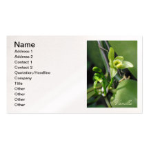 Vanilla Orchid Business Cards
