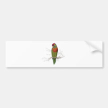 Variegated Parrakeet by Edward Lear Bumper Sticker