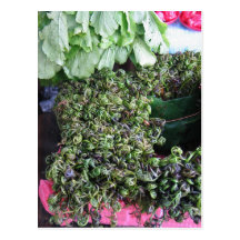 Vegetables from Kuchin Post Card