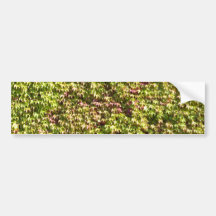Vegetation Textured Background Bumper Stickers