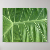 "Veins" Poster