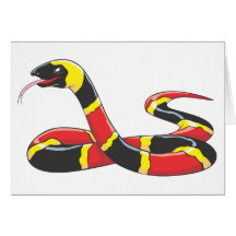 Venomous Eastern Coral Snake Card