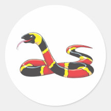Venomous Eastern Coral Snake Sticker