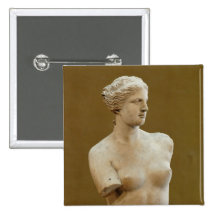 Venus de Milo Pinback Button