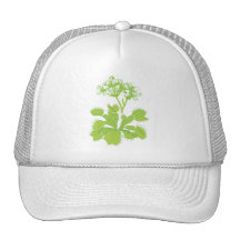 Venus Flytrap Cap Trucker Hat