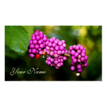 Verbena Business Card Templates