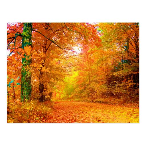 Vermont Autumn Post Card