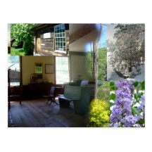 Vermont Spring Beauty Postcards