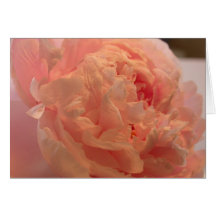 Vers Demain Greeting Cards