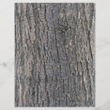 Vertical texture of tree bark flyer design
