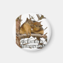 Very Funny Squirrel Magnet
