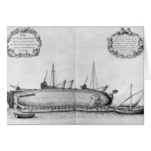 Vessel lying on its hull cards