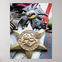 Veteran Medals Print