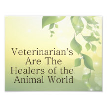 Veterinarians Are Healers Photo Art