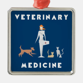 women in veterinary medicine essay women in veterinary medicine essay