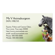 Veterinary practice appointment and business card