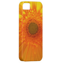 Vibrant yellow Gerbera Daisy iPhone 5 Case