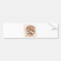 View of a Skull 2 Bumper Sticker