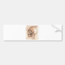 View of a Skull by Leonardo Da Vinci c. 1489 Bumper Sticker
