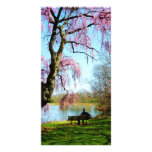 View of Lake in Spring Customized Photo Card