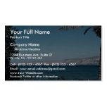 View of Sea of Galilee from south shore, Israel Business Cards