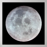 View of the Moon from Apollo 11 Print