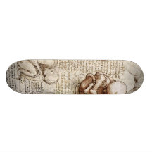 Views of a foetus in the womb. skate board