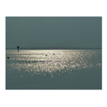 Views of the Chesapeake Bay Post Card
