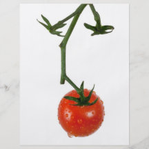 Vine tomato full color flyer