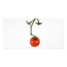 Vine tomato photo card