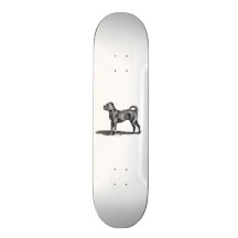 Vintage 1800s Pug Dog Illustration - Dogs Skate Board Decks