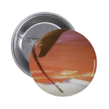 Vintage Aircraft Button Badge