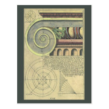 Vintage Architecture; Capital Volute by Vignola Post Card