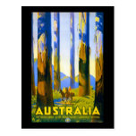 Vintage Australia Marysville Victoria Postcards
