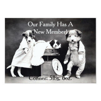 new puppy announcement new family member cards invitations photocards more new puppy announcement new family member cards invitations photocards more