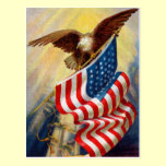 Vintage Bald Eagle postcards
