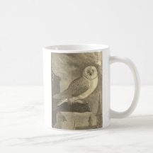 Vintage Barn Owl Coffee Mugs