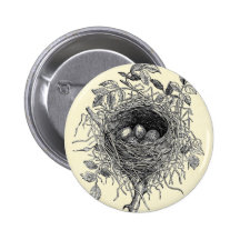 Vintage Bird Nest Illustration Buttons