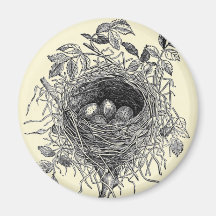 Vintage Bird Nest Illustration Fridge Magnet
