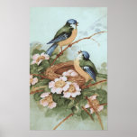 Vintage Birds Print