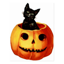Vintage Black Cat and Pumpkin Postcard