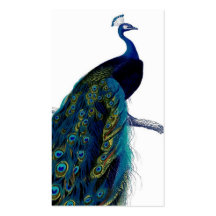 Vintage Blue Elegant Colourful Peacock Business Cards