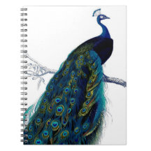 Vintage Blue Elegant Colourful Peacock Spiral Notebooks