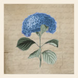 Vintage Blue Hydrangea on Old Paper posters