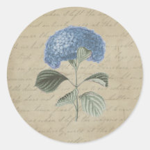 Vintage Blue Hydrangea with Antique Calligraphy Sticker