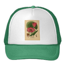Vintage Botanical Print Pink Water Lily Lotus Mesh Hats