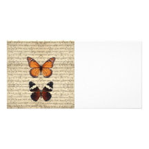 Vintage butterflies collection picture card