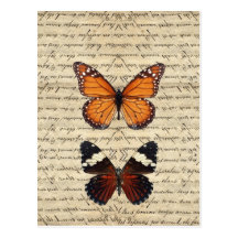 Vintage butterflies collection post cards