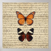 Vintage butterflies collection poster